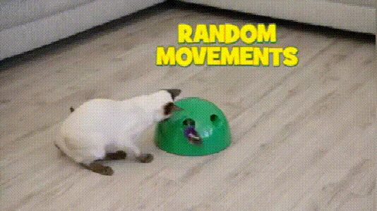 1 (2)
