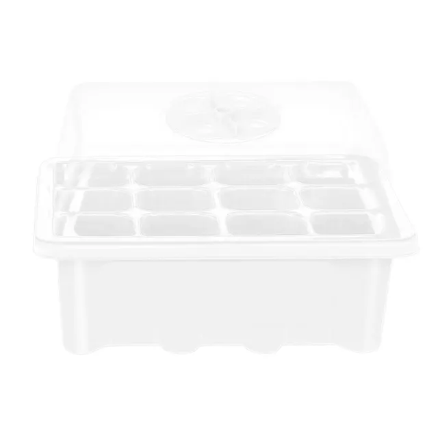 Transparent 12 Holes