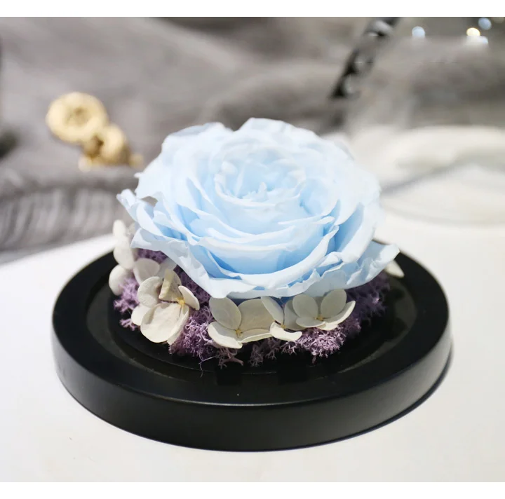 Love Everlasting flower vase Glass cover 11