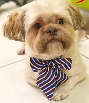 QQ截图20191028211519