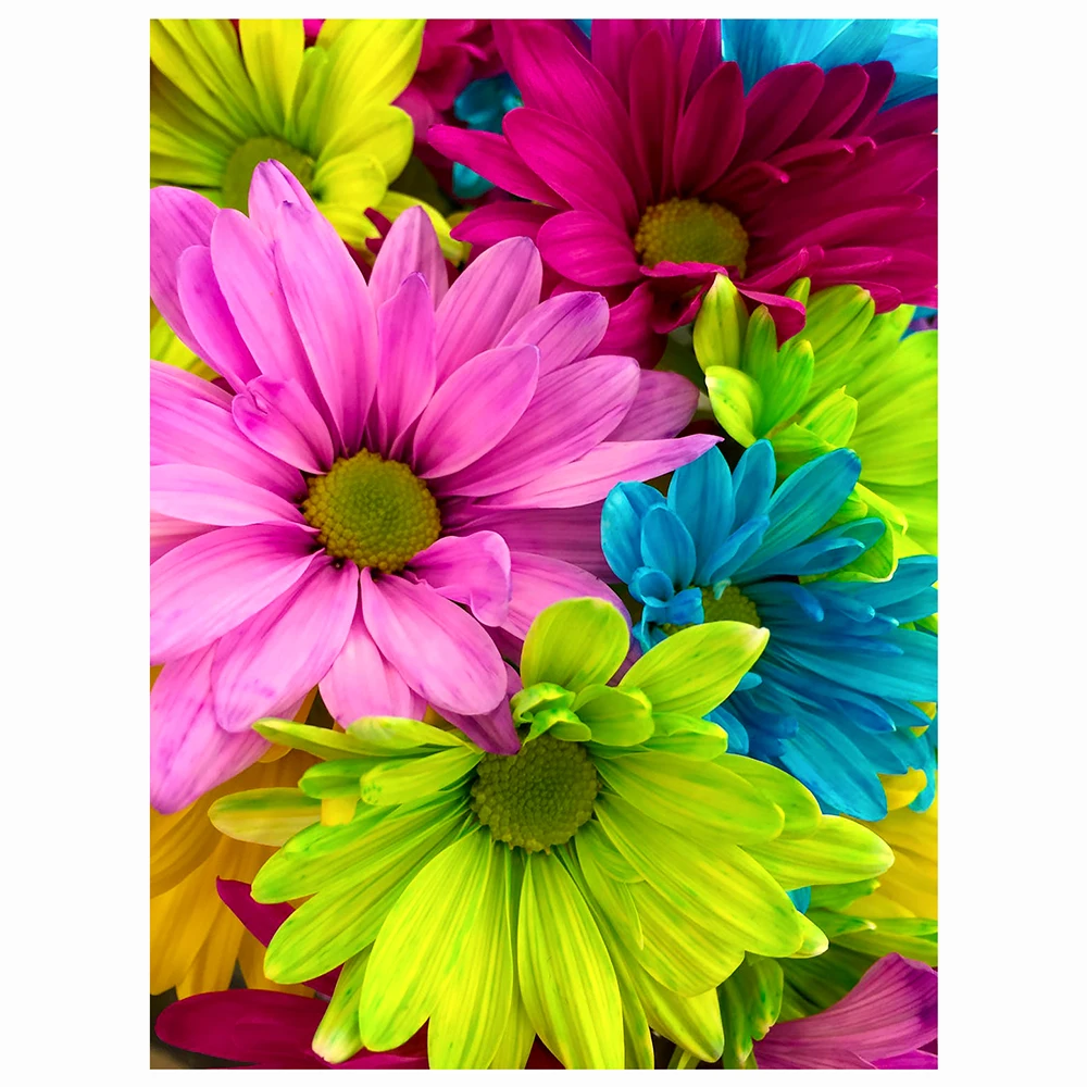 He0228eb3b85b449aa6d00bf88a0c0ddah