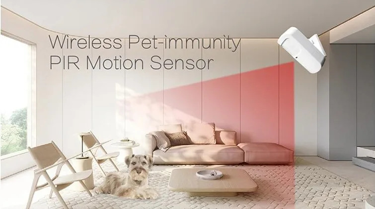 pir detector