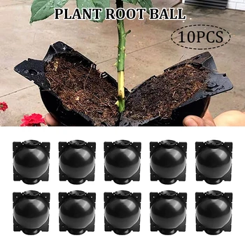 

1/3/5/10pcs Plant Rooting Ball Grafting Rooting Growing Box Breeding Case for Garden Plant high-pressure propagation box Sapling