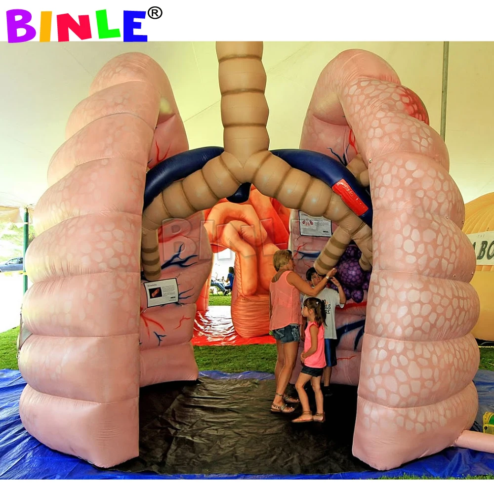 맞춤형 대형 풍선 폐 모형, 학교 교육 및 의료 행사 전시용 풍선 인체 장기 모형