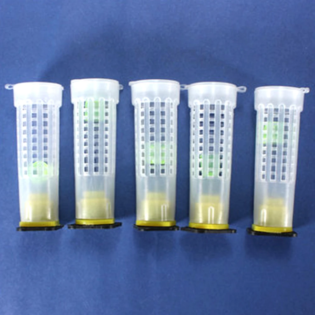 Good Quality Beekeeping Tools Queen Bee Rearing Cell Tubular Cup bee Cages Holder Fixtures