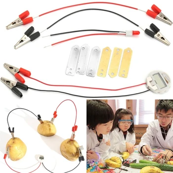 

Potato Fruit Biologia Energy Generate Electricity Science Experiment Educational Toys For Children Kid School STEM Kit Brinquedo