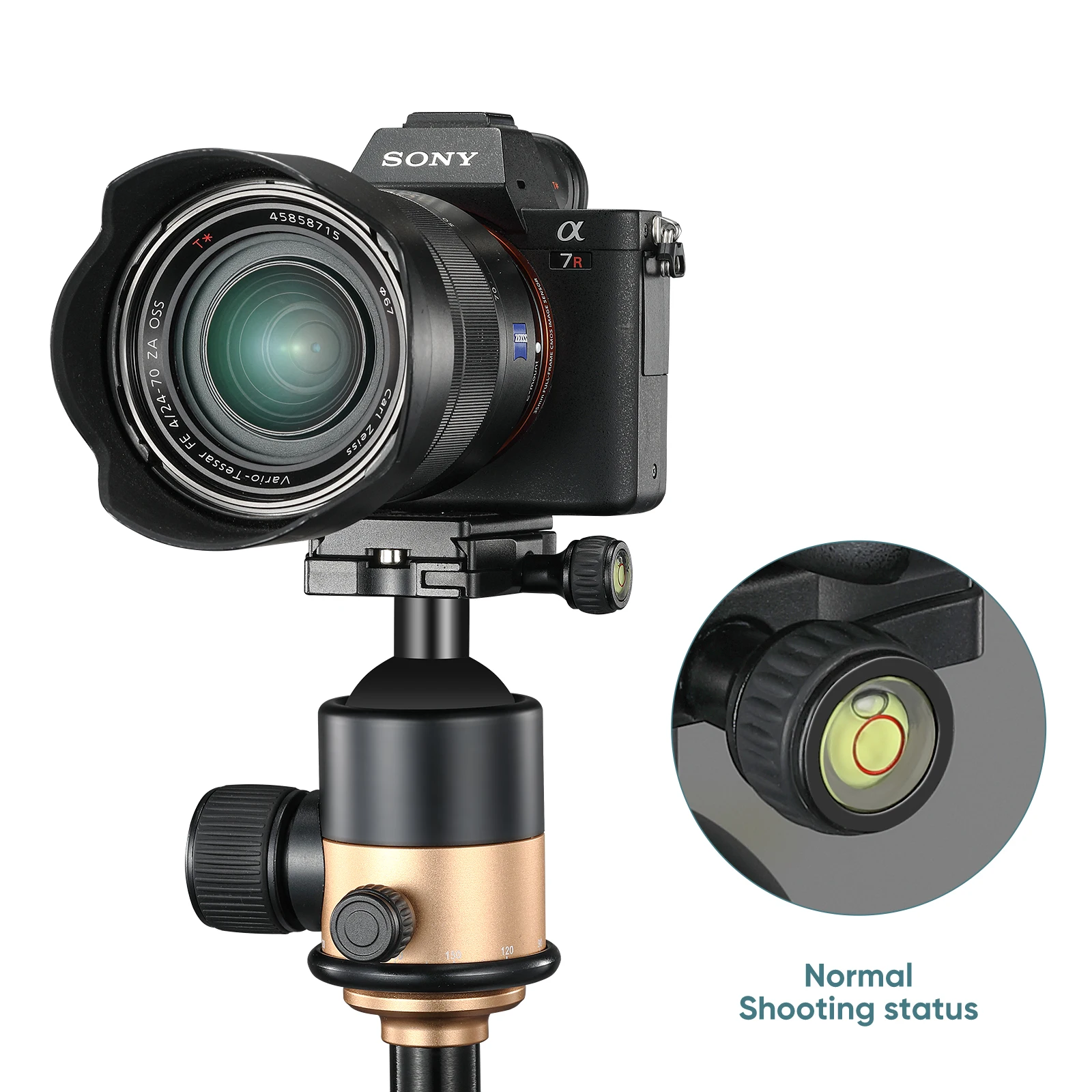 Soonpho Ball Head for Tripod Rotating Head 360-degree Panoramic 1/4 to 3/8 Screw Tripod Adapters Professional Camera Tripe