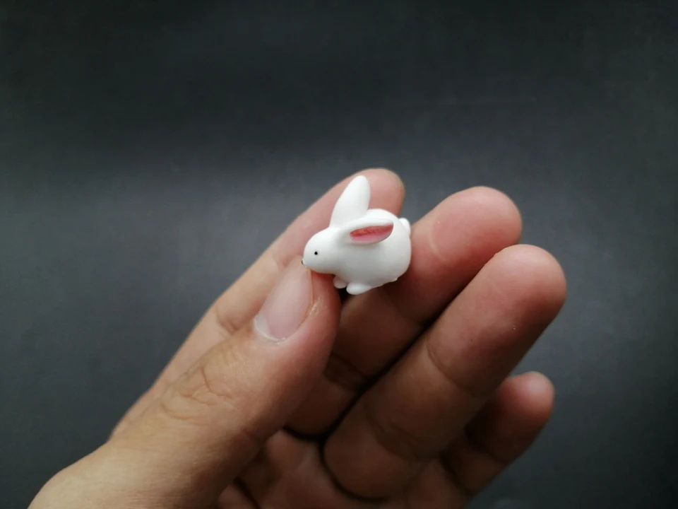 Tiny-A249 (1)