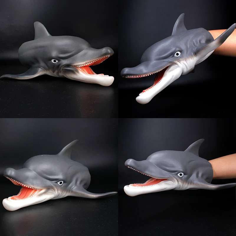 Dolphin-6