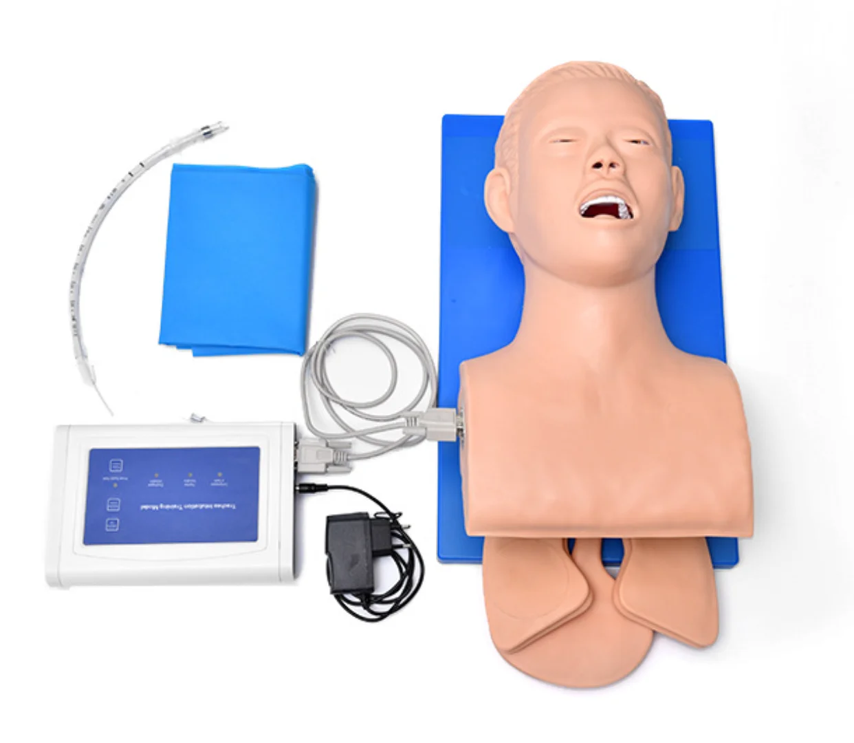 

Electronic Human Tracheal Training Model Intubation Training Manikin with Tooth Pressure Alarm