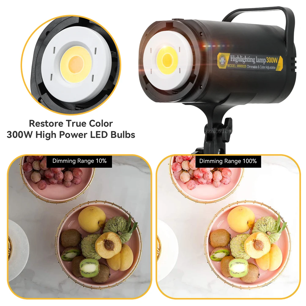 300W Continuous Light Photography LED Video Light Studio 5600K Bowen Mount White Version for Studio Video Recording Portrait New