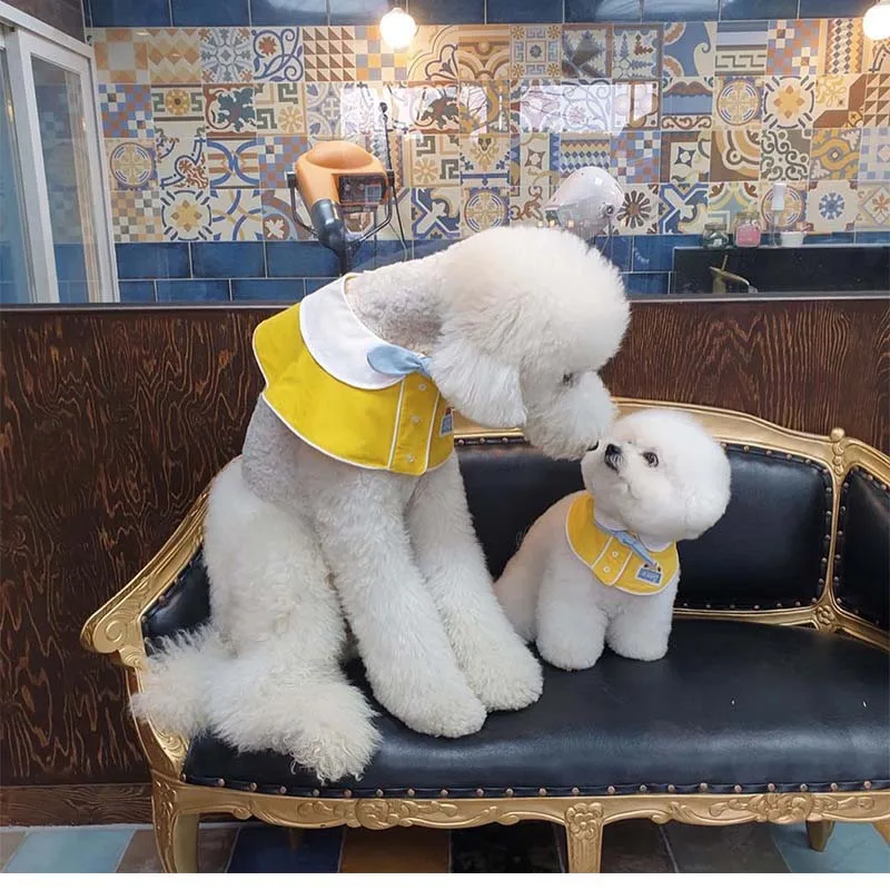 ペットよだれかけよだれかけ唾液タオル韓国イン幼稚園ドレスかわいい犬猫かわいい服 Aliexpress