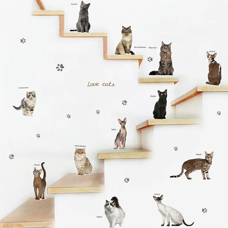 Cute Kitten Adhesive Paper Cute Pet Heart Stickers Stairs Wall Cabinet Wardrobe Pet Shop Removable Wall Stickers