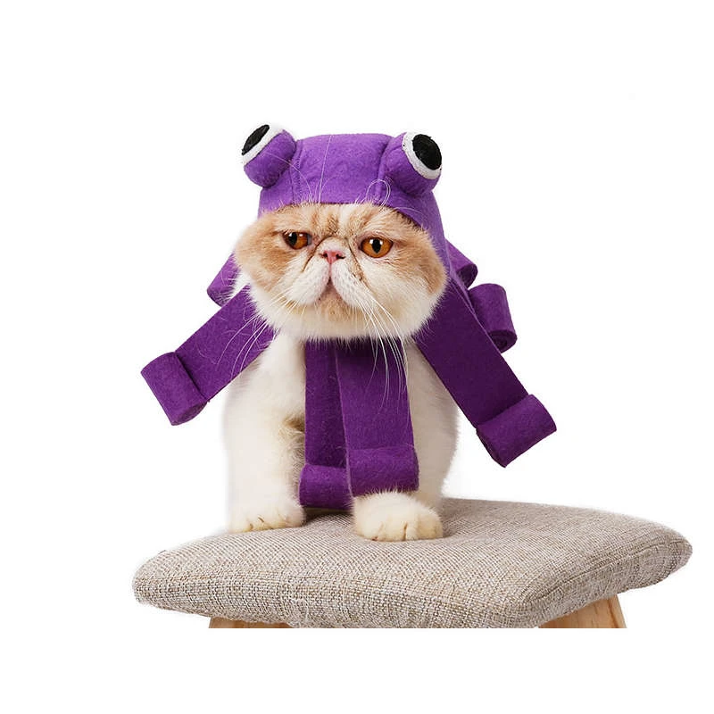 halloween-cat-costume(10)
