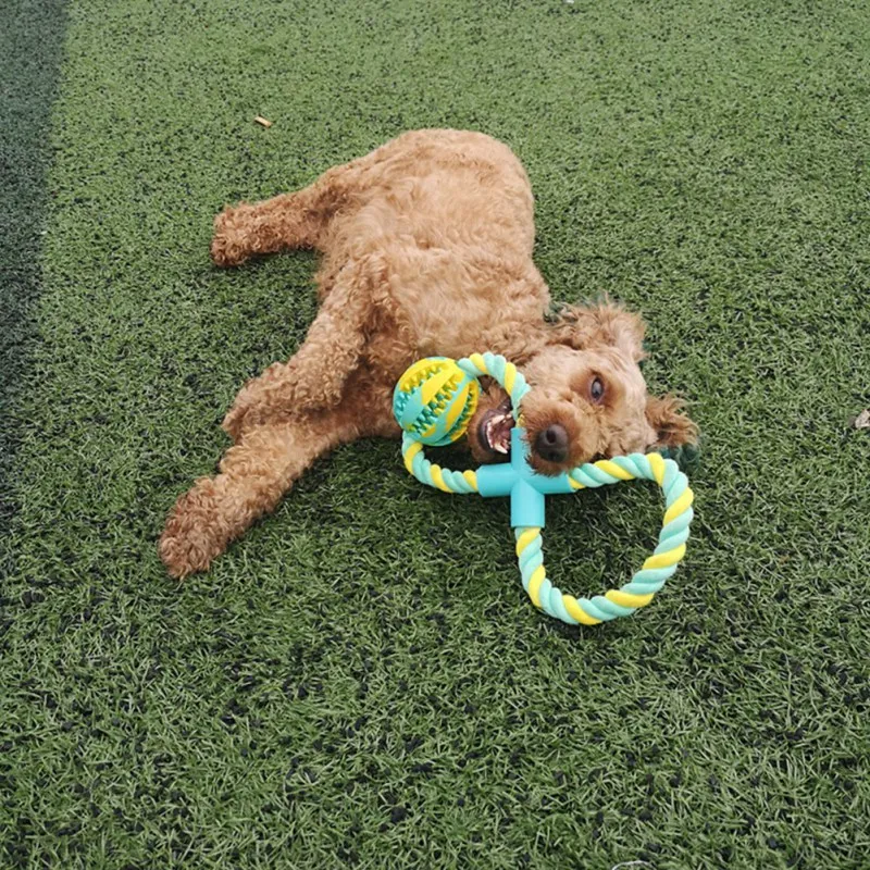 

Pet Puzzle Dog Toys Cotton Rope Treat Ball Dog Chew Toy Non-Toxic Rubber Ball Rope Knot Teeth Cleaning Toys