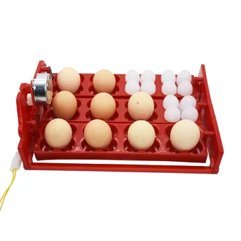 

12 Eggs/48 Birds Eggs Incubator Turn Eggs Tray Chicken Bird Automatic Incubator Poultry Incubator Equipment 220V/110V 1set