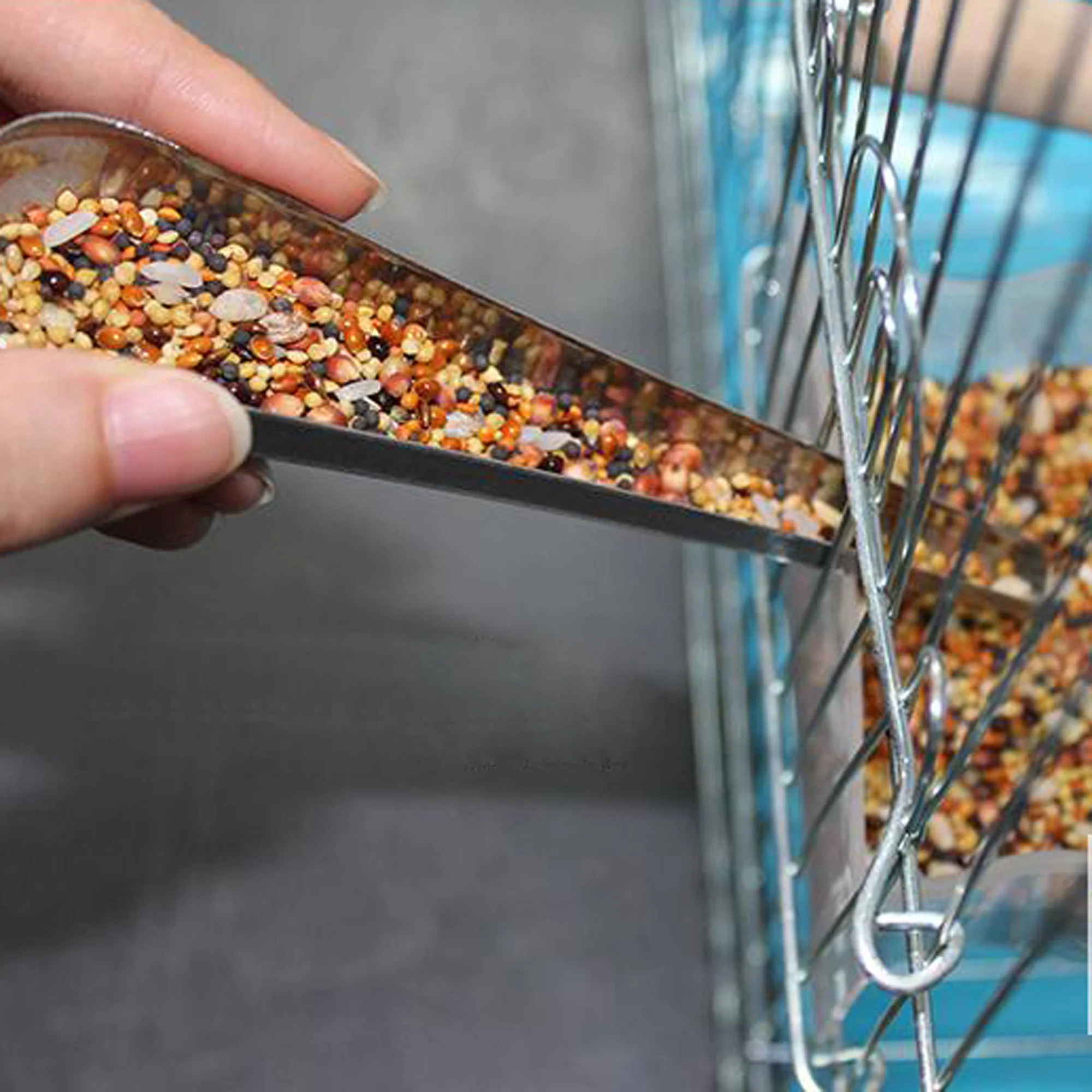 Pet Bird Parrot Stainless Steel Food Adding Spoon Bird Cage Food Add Accessories Small Pet Feeding Tool 1 Pc