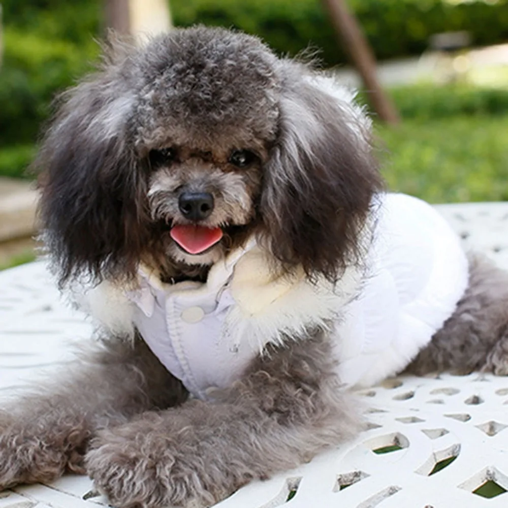 CJJ91216892WHL_0534289872715947148