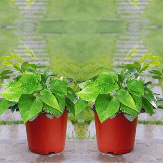 20/50Db Mini Műanyag Virágcserép Lyukakkal Grow Box Bukás Ellenálló Tálca Az Otthoni Kerti Növényi Edény Óvodai Zöldségek Transzplantációhoz - Image 6