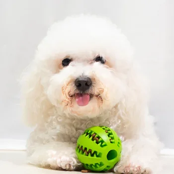 

Molar Stick Tooth Cleaning Puzzle Artifact Teddy Pet Supplies Cat Dog Toy Ball Natural Environmental Rubber To Clean Teeth Home