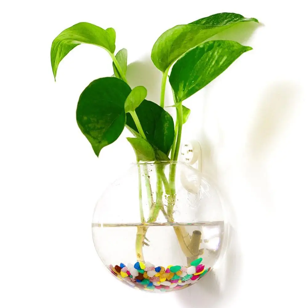 Title 8, Acrylic Plexiglass Fish Bowl Wall Hanging Fish ...