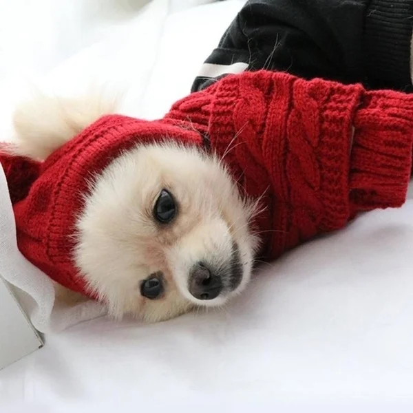 VickiYo 3 цвета щенок Тедди Рождественский костюм вязаная шапка+ шарф воротник зимний теплый шерсть одежда для собак