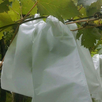 

50Pcs/Lot Plants Fruit Protection Bag Anti Bird Drawstring Net Bag Agriculture Pest Control Tool Prevent Fruit Tree Mosquitoes