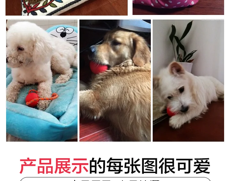 Pet Teddy дрессировка средних и больших собак молярный укусы мяч щенок Твердый эластичный мяч Золотой ретривер игрушка для собак