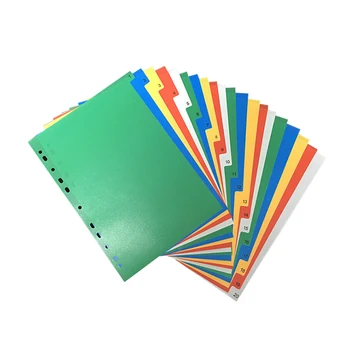 

20 Pages Tab Dividers Insertable Plastic Colorful Classified Lables Tab Dividers Index Page Document Organiser