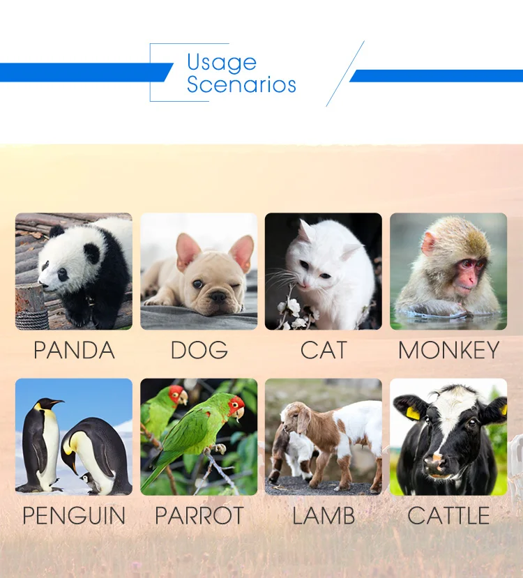 dog microchip scanner_13