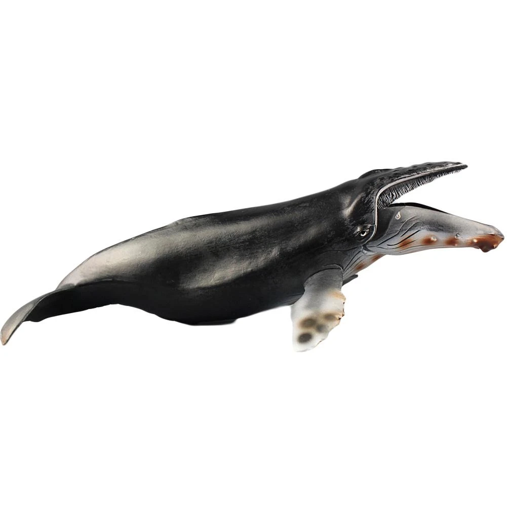 海ライフ動物サメクジラモデル置物シミュレーションザトウクジラベルーガシロナガスクジラおもちゃギフト子供のための モデル構築キット Aliexpress