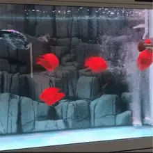 Эко-аквариум очиститель воды куб 10х10см ультра активированный уголь сильная фильтрация и поглощение Прямая поставка Эко-аквариум очиститель воды куб 10х10см ультра активированный уголь сильная фильтрация и поглощение Прямая поставка