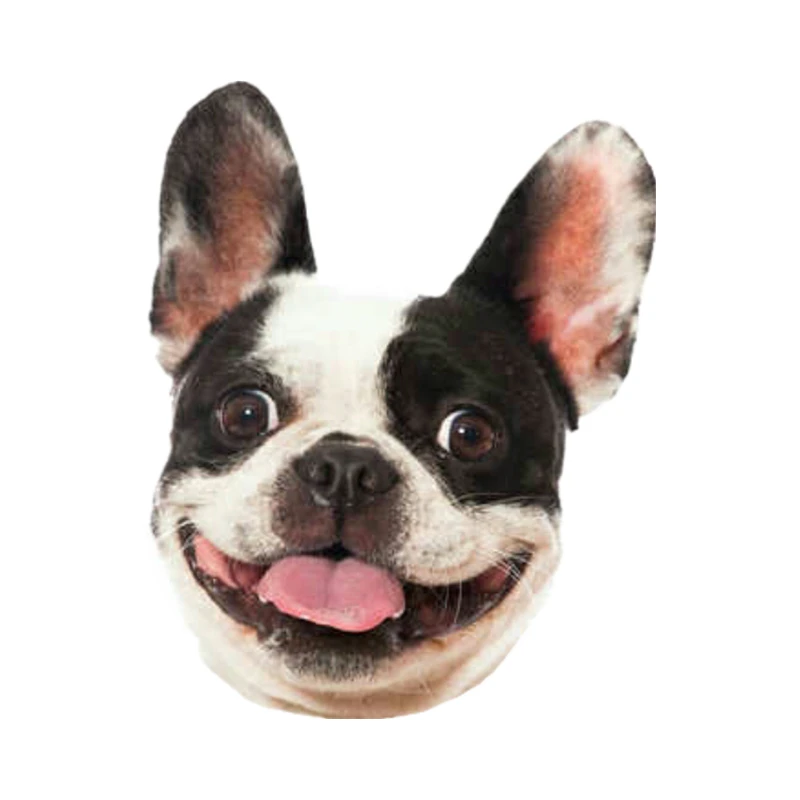 

Смешная самоклеящаяся наклейка S41001 #, автомобильная наклейка с французским бульдогом, водонепроницаемые Автомобильные украшения на бампер...