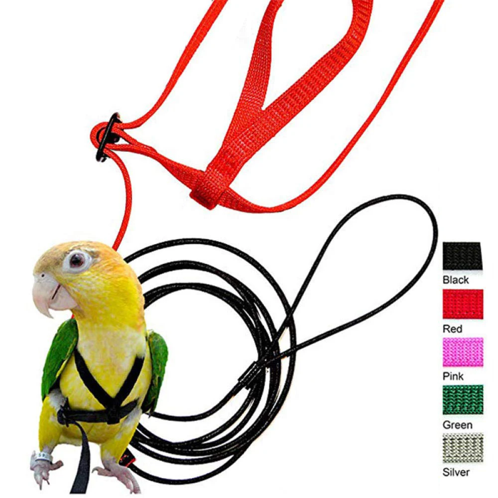 Pet Bird Fly тренировочный канат портативный ПЭТ попугай шлейка для птицы наборы поводков Сверхлегкий жгут с анти-укуса