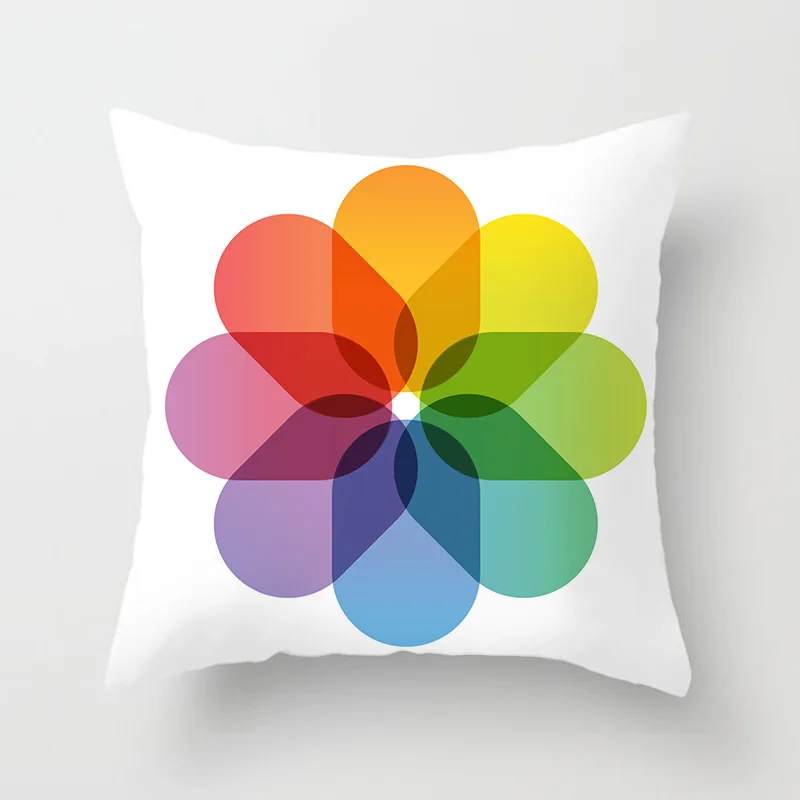 11512672408_865697793