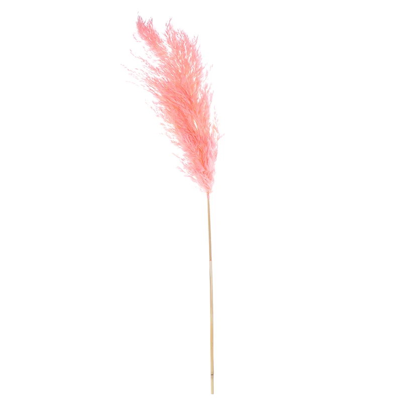 1 шт. натуральные фрагмиты сушеные растения пампасы трава свадебный цветок букет сырой цвет Рождественский подарок - Цвет: Розовый