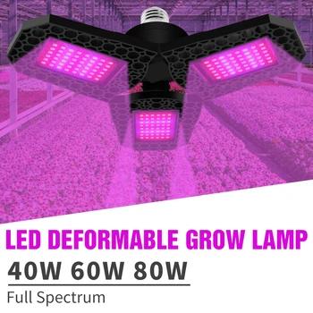 

LED Full Spectrum Plant Light E27 Grow Lamp Bulbs 40W 60W 80W Phyto Lamp 220V Flower Hydroponics Growing Lampada LED Fitolampy