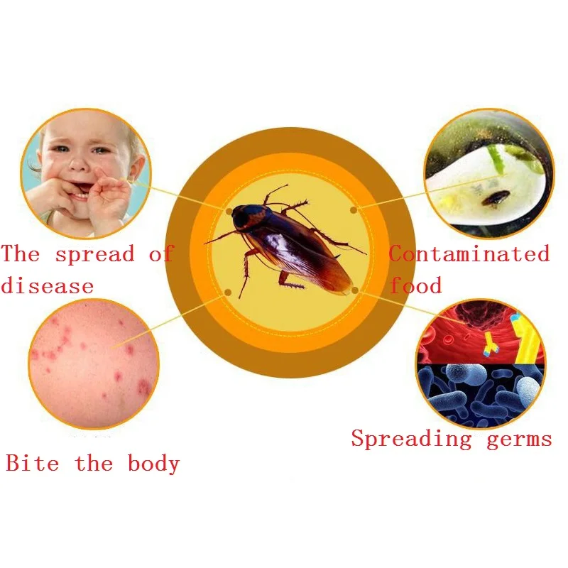 11008276825_816602305