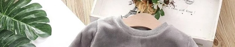 Autumn Winter Children's Clothing Suits Baby Girl Clothes Baby Boy Clothes Plush Long-sleeved Top and Pants Boys Clothes Autumn Winter Children's Clothing Suits Baby Girl Clothes Baby Boy Clothes Plush Long-sleeved Top and Pants Boys Clothes