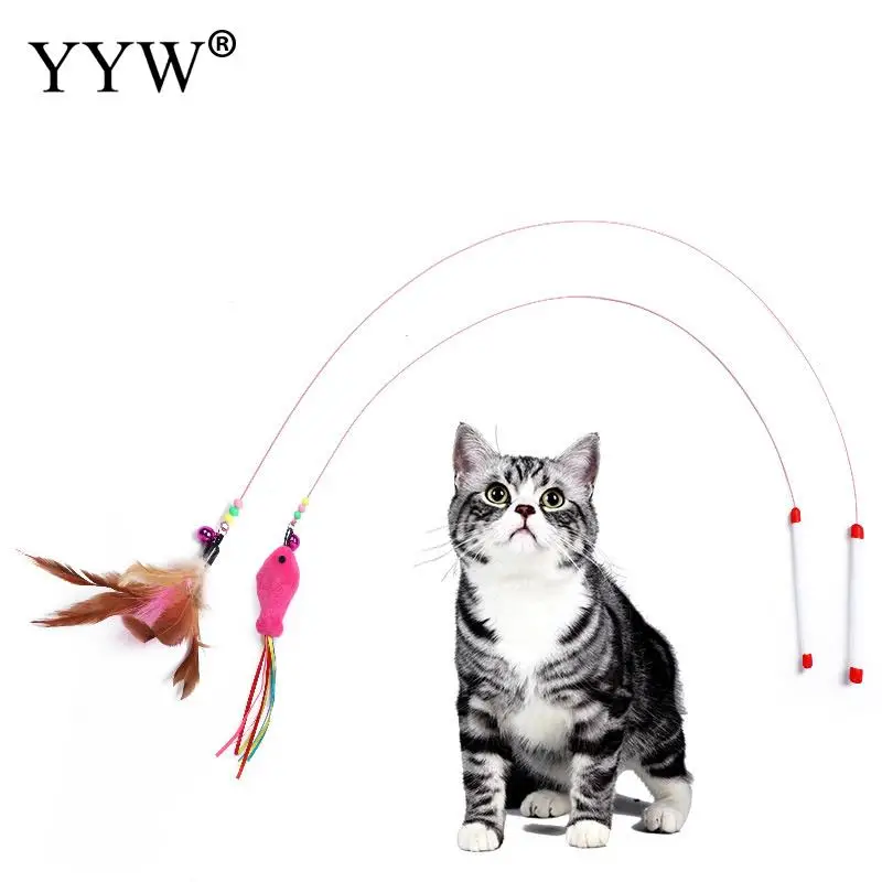 

Feather Rod Play Pet Wand Teasing With Colored Funny Feather Spring Kitten Cat Toy Interactive Interactive Cat Toy Creative