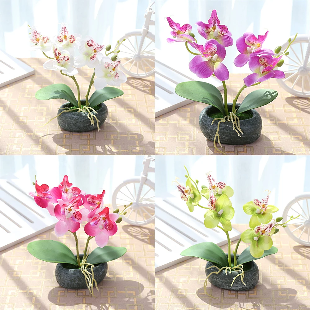 ZZLJ16218-ZZLJ16221-C2