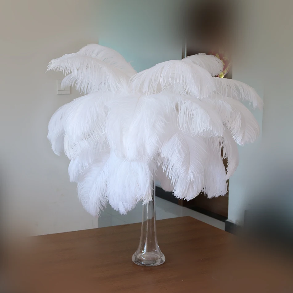 10pcsNaturalWhiteOstrichFeathersArtificialforDecoration1570cm