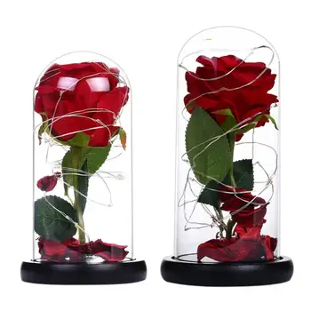 

Hot Sale Night Lights Portable Delicate Design Copper Wire Lamp 20LED Night Lights Rose Flower in Glass Dome for Valentine Gift