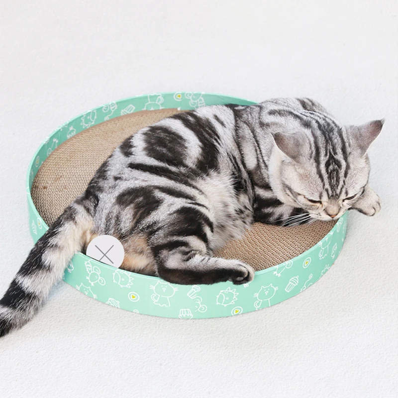 23578275692_609758398