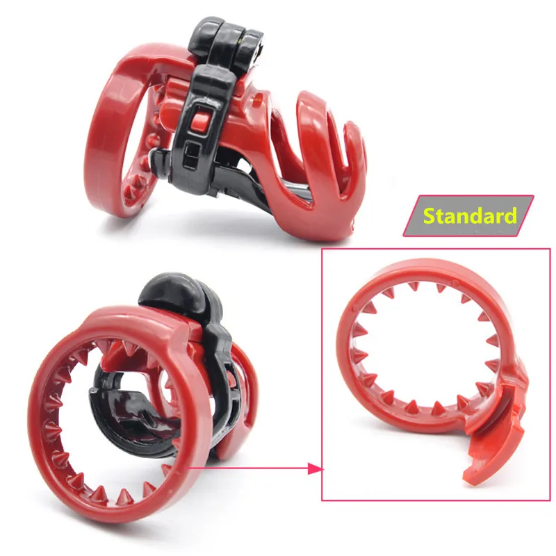 4550389869_222136412