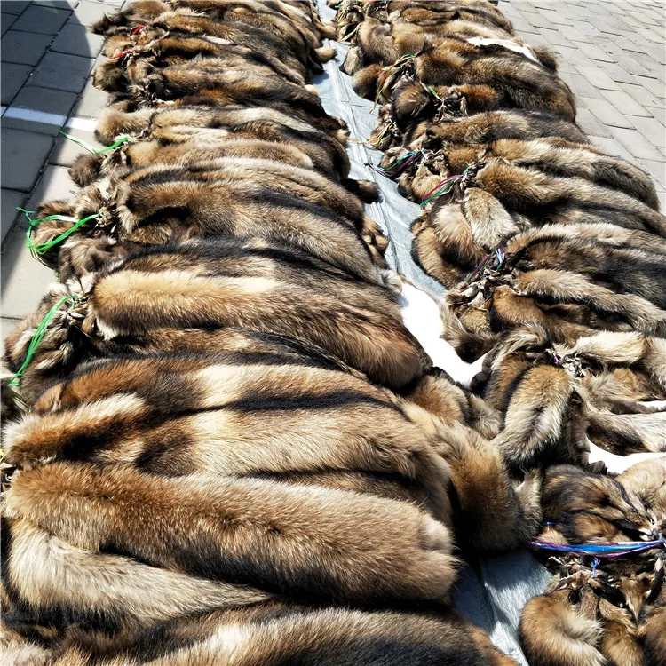 Китайские шкуры из енота меха енота|fur skin|raccoon skinskin fur |