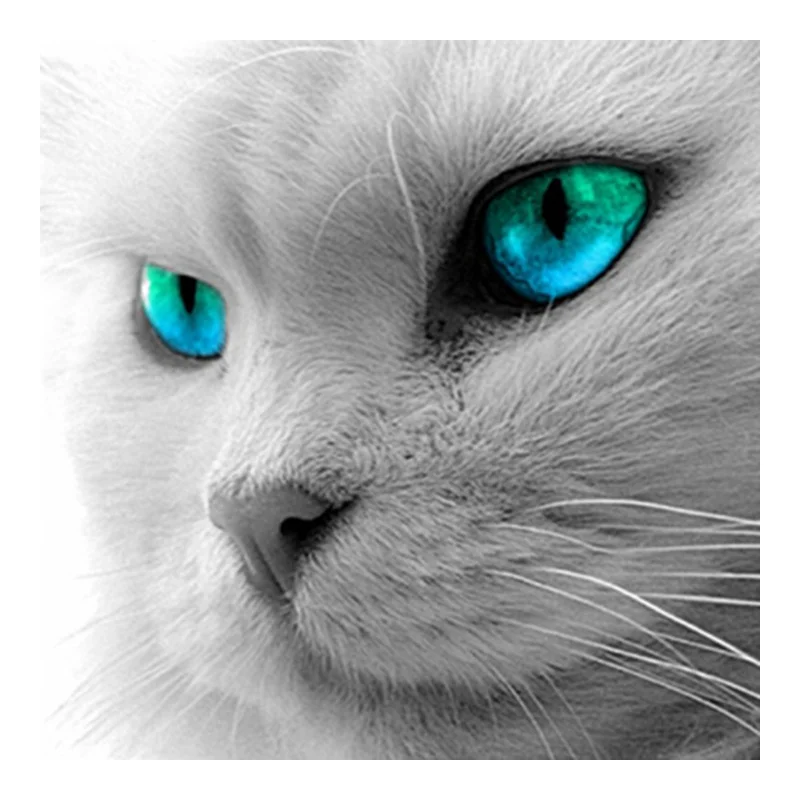 5D DIY Diamond Embroidery Green Eyed Cat Painting Cross Stitch Full Mosaic Pack | Дом и сад