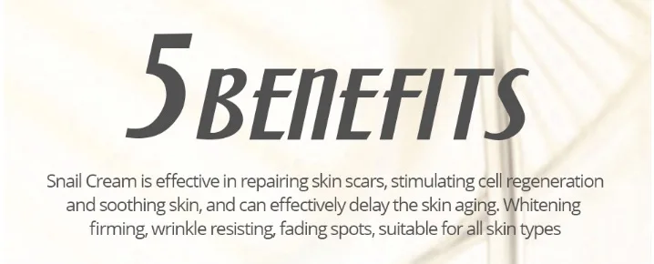 屏幕快照 2019-12-25 上午10.33.02