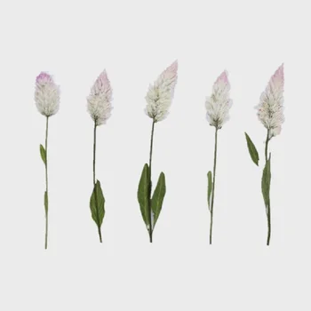 

60pcs Pressed Dried Flower Celosia argentea L For Epoxy Resin Jewelry Making Nail Art Craft DIY Bookmark Accessories