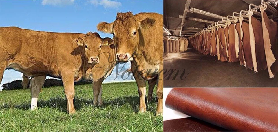 牛皮